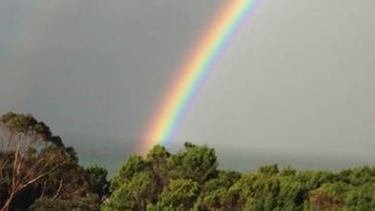 Photo of Others in Island Beach