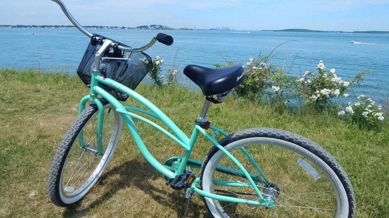 Photo of Others in Oak Bluffs