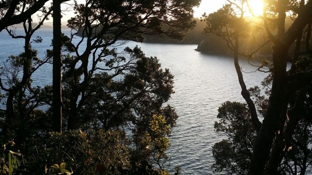 Photo of Others in Titirangi