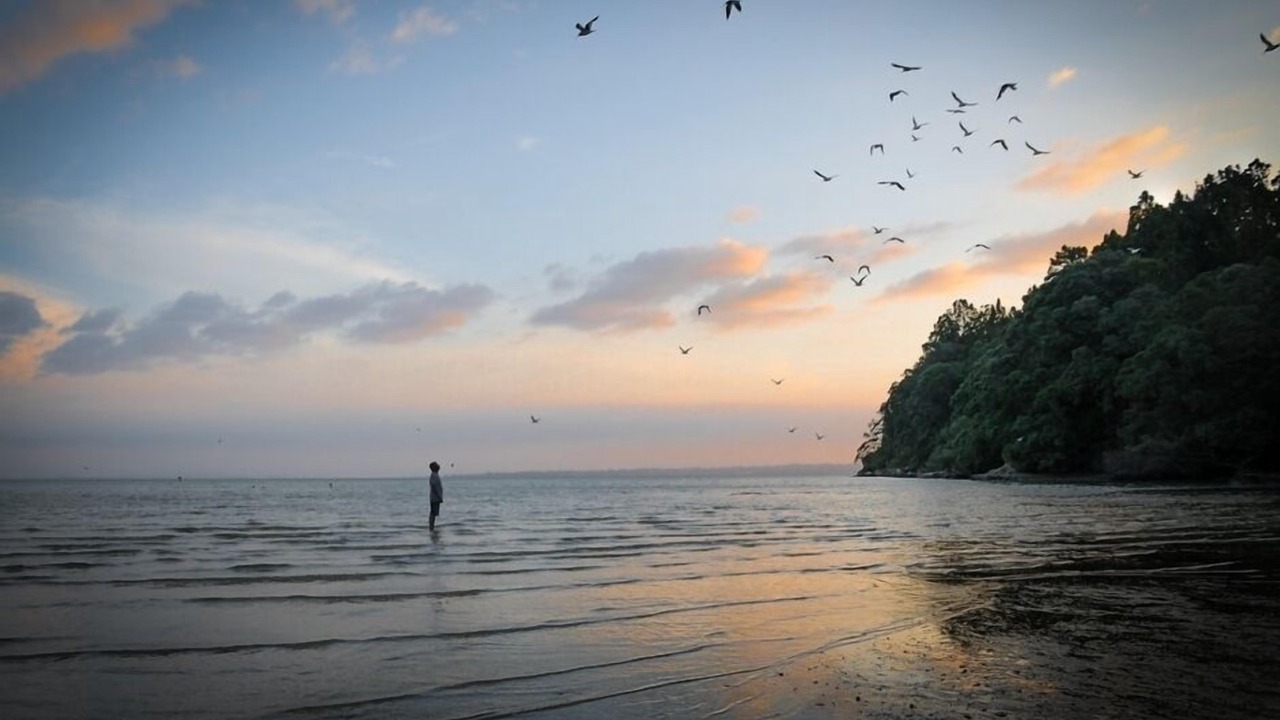 Photo of Others in Titirangi
