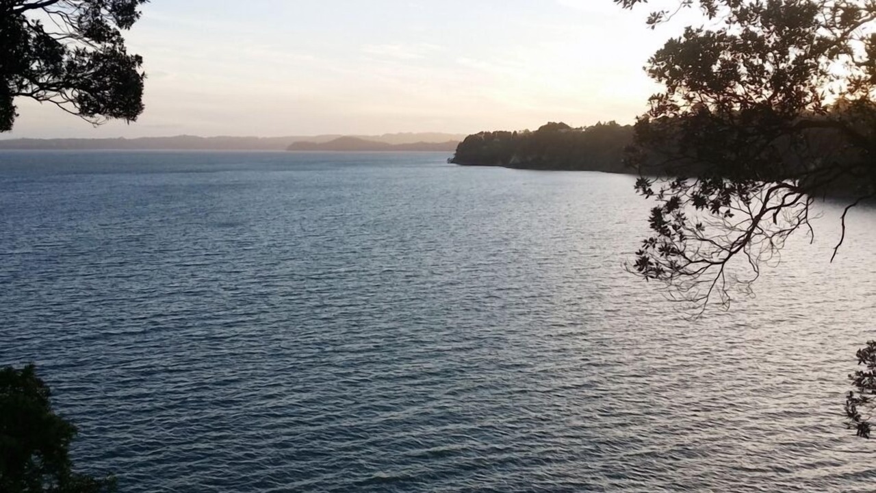 Photo of Others in Titirangi