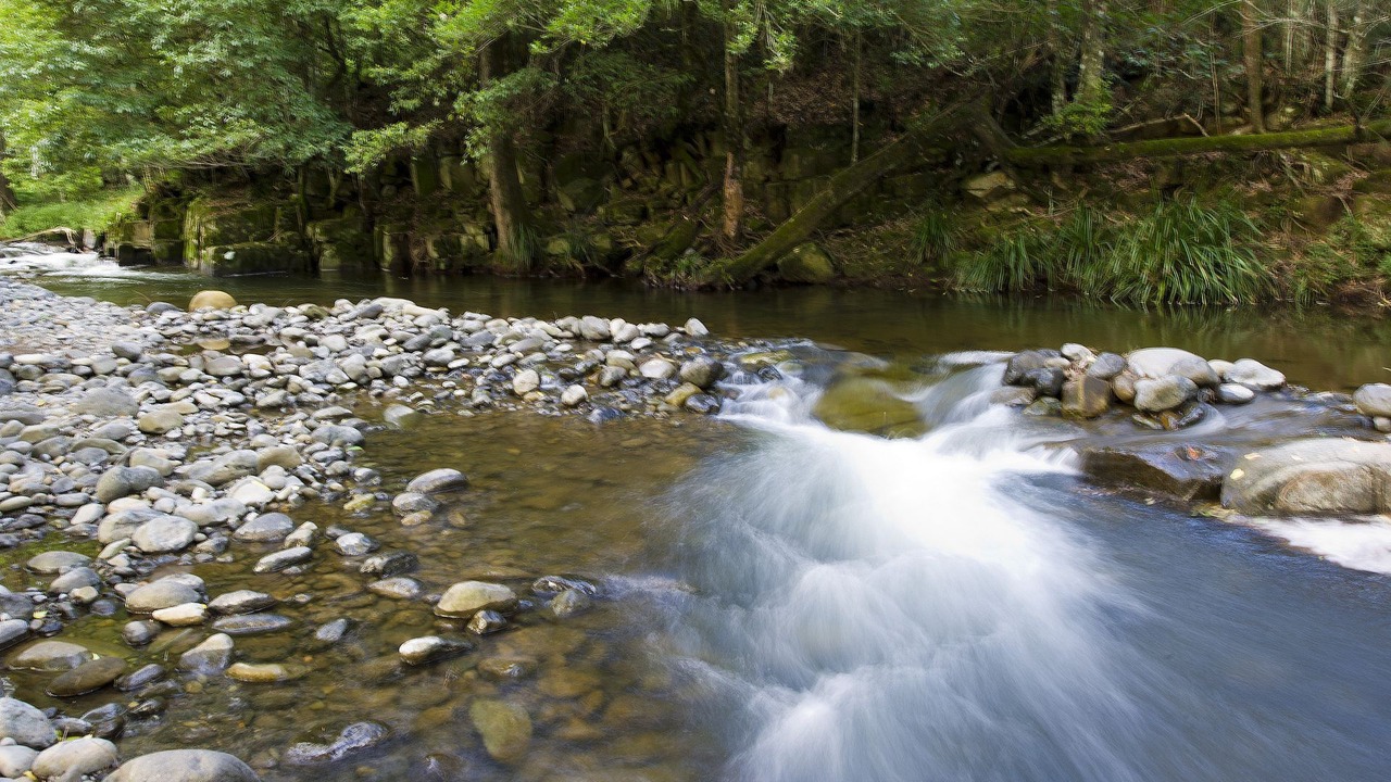 Photo of Outdoor in Upper Allyn