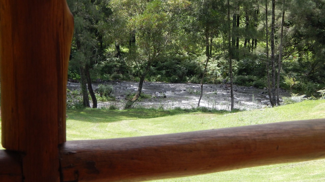 Photo of Others in Upper Allyn