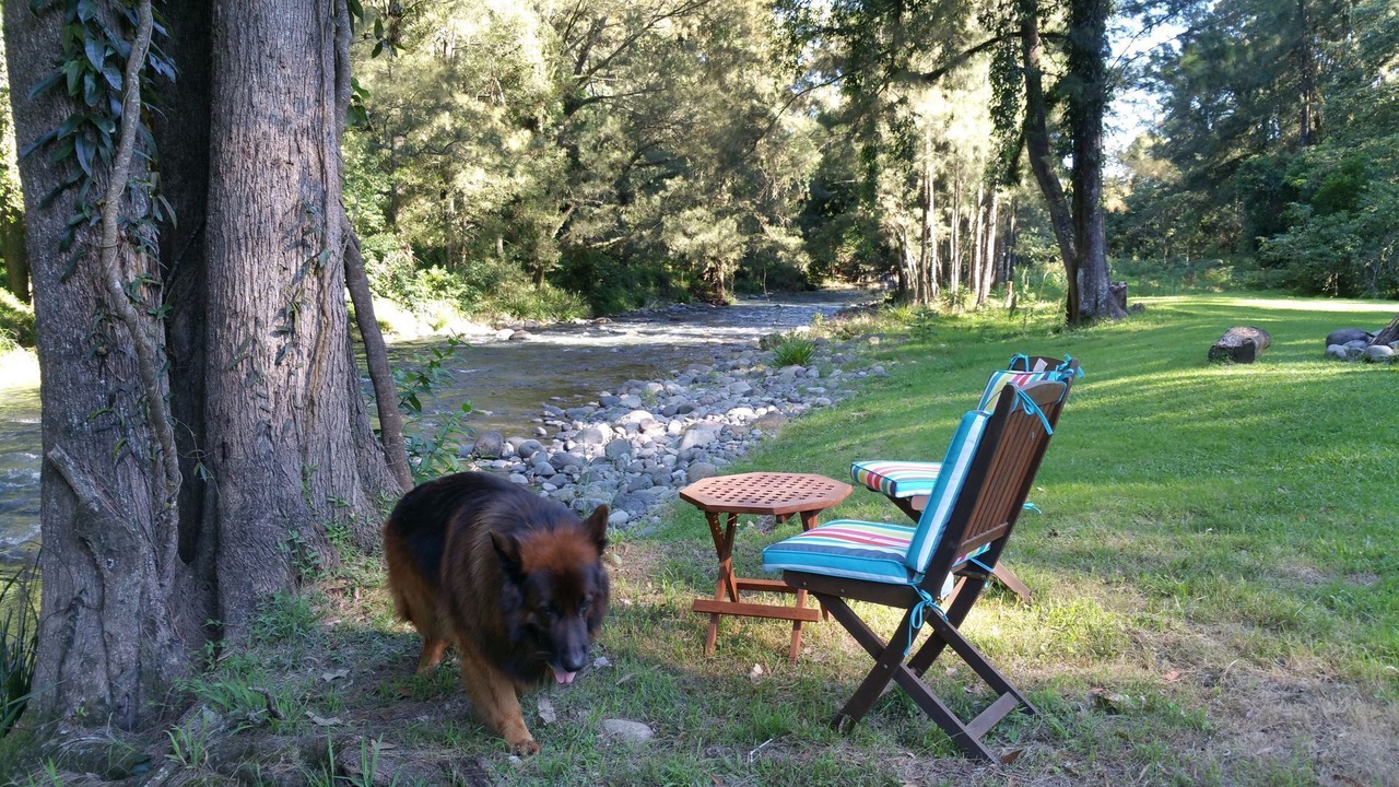 Photo of Outdoor in Upper Allyn