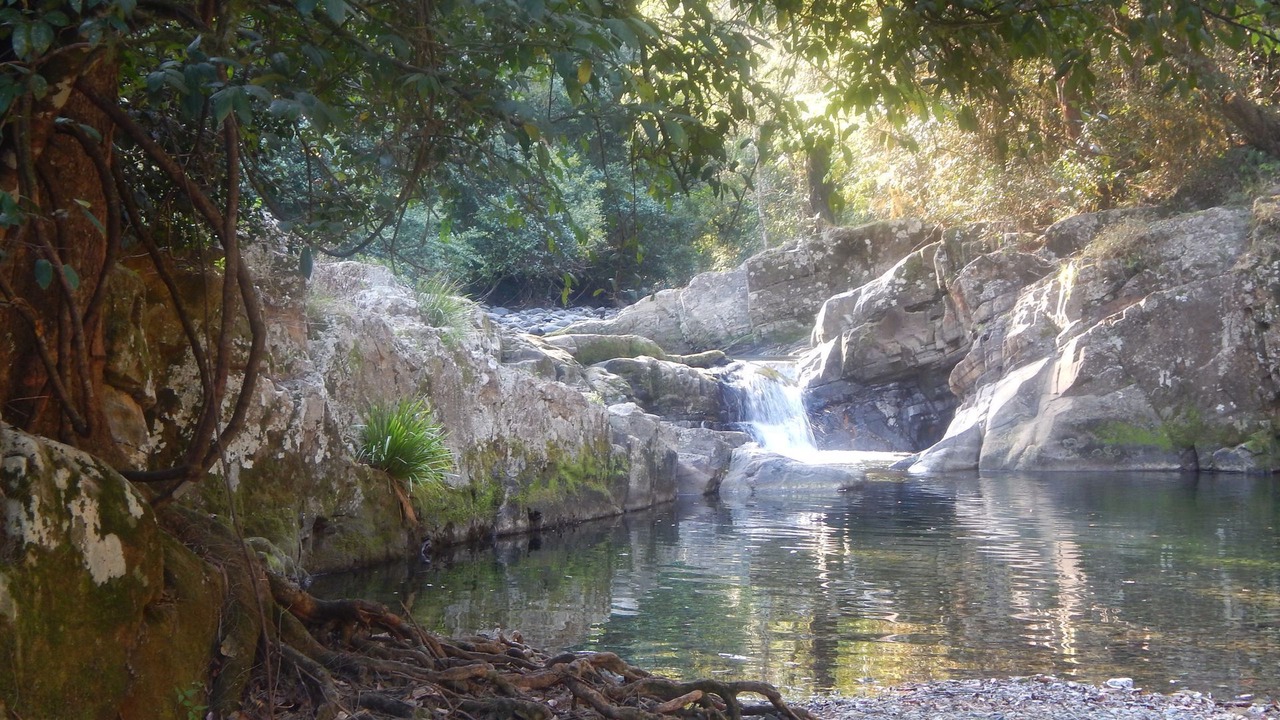 Photo of Others in Upper Allyn