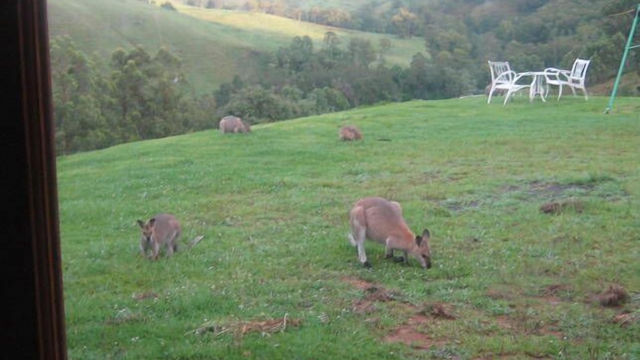 Photo of Outdoor in Invergordon