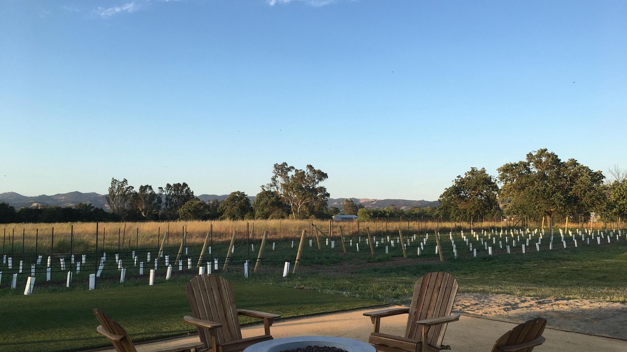 Photo of Others in Sonoma