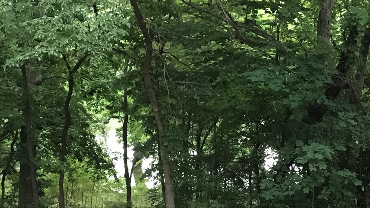 Photo of Outdoor in Afton