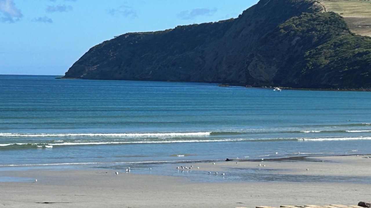 Photo of Others in Cape Bridgewater