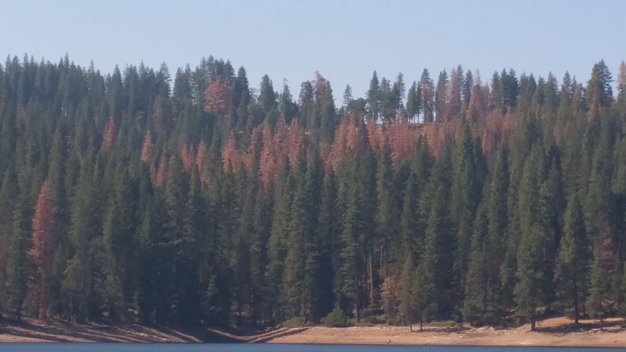 Photo of Others in Cold Springs