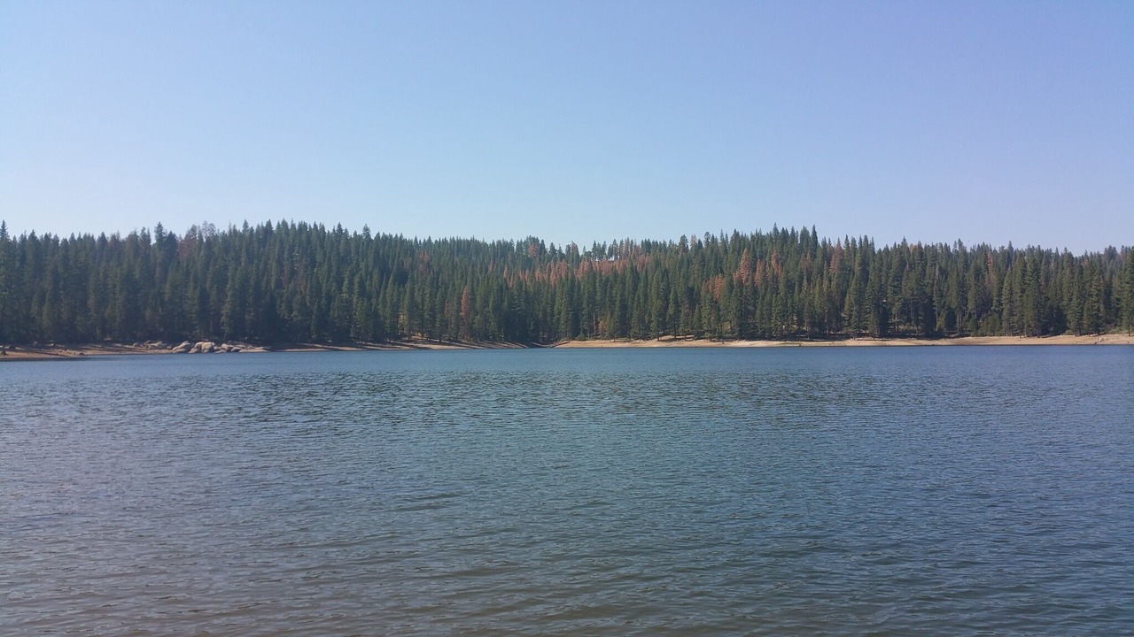 Photo of Others in Cold Springs