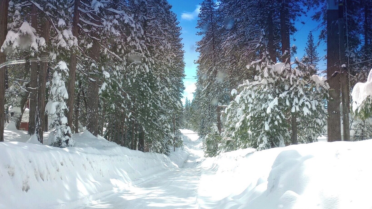 Photo of Outdoor in Cold Springs