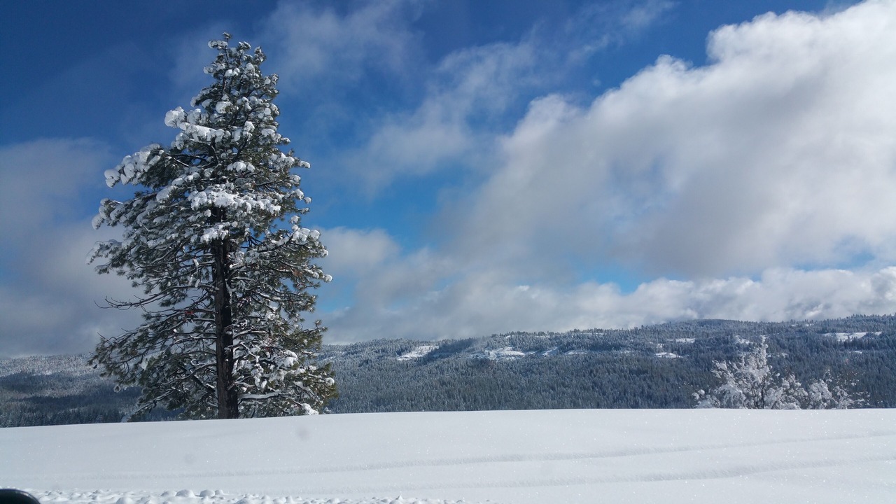 Photo of Others in Cold Springs