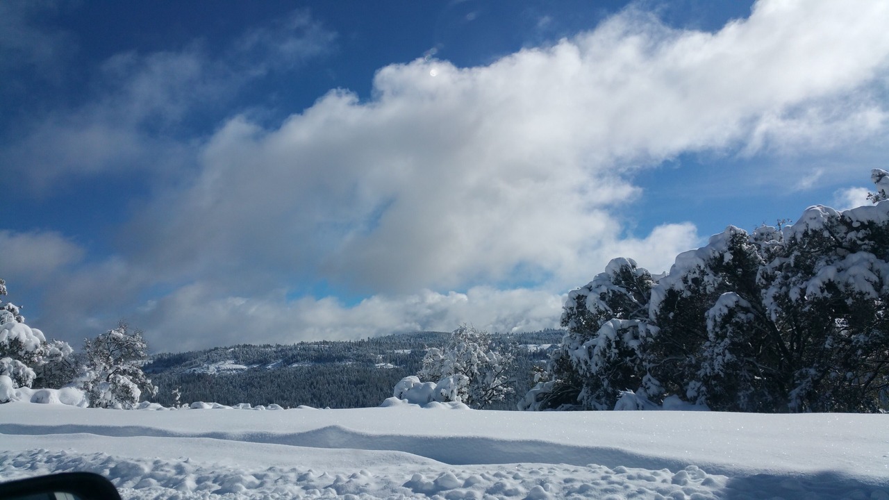 Photo of Others in Cold Springs