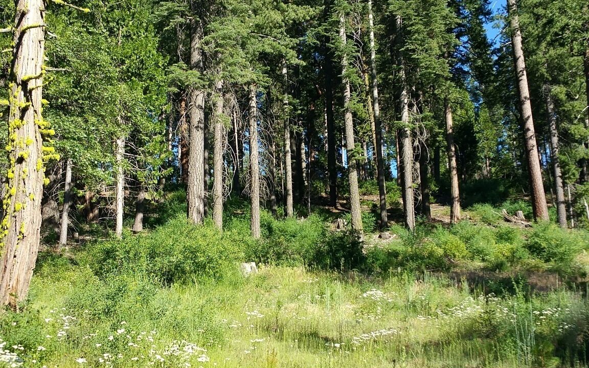 Photo of Outdoor in Cold Springs