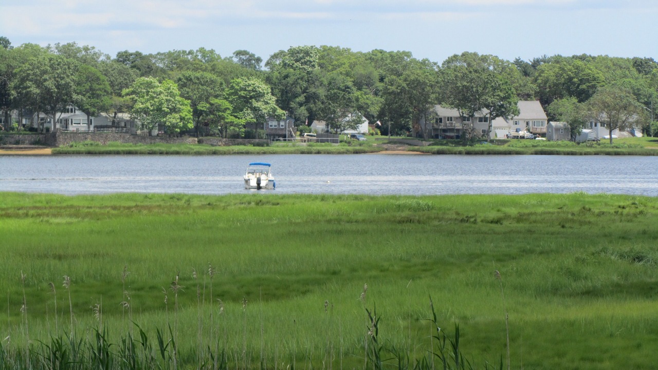 Photo of Others in Marion