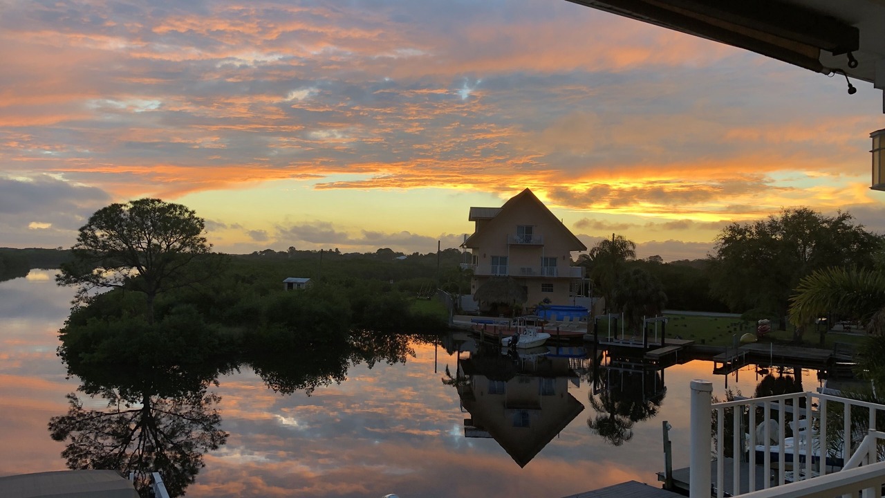 Photo of Outdoor in Tampa