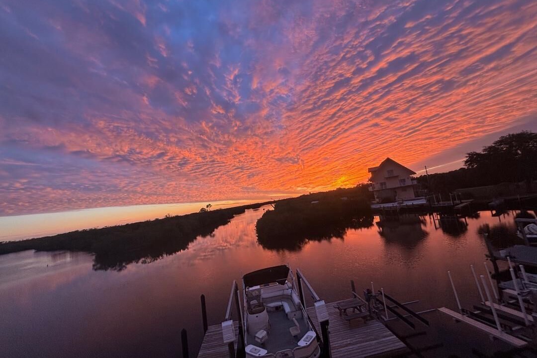 Photo of Others in Tampa