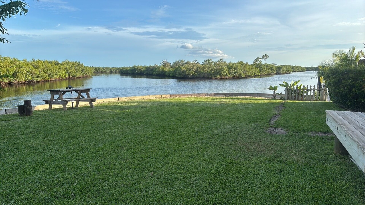 Photo of Outdoor in Tampa