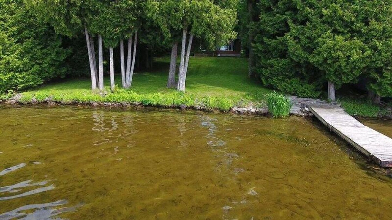 Photo of Outdoor in Kawartha Lakes