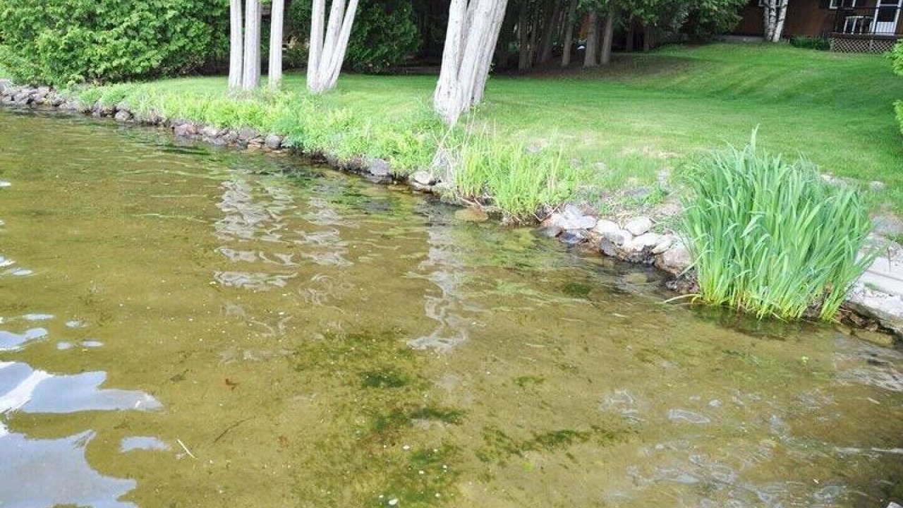 Photo of Outdoor in Kawartha Lakes