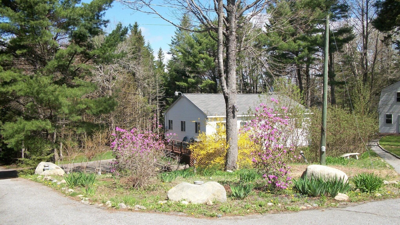 Photo of Others in Town Hill