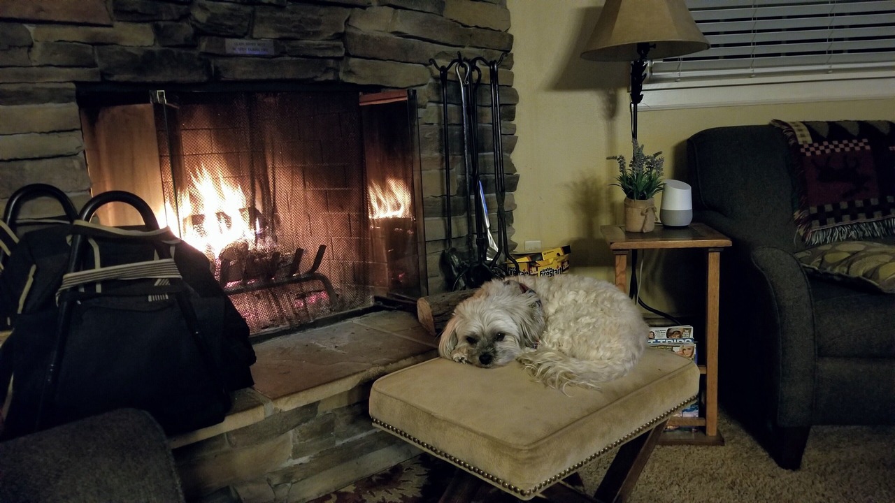 Photo of Livingroom in Thompsonville