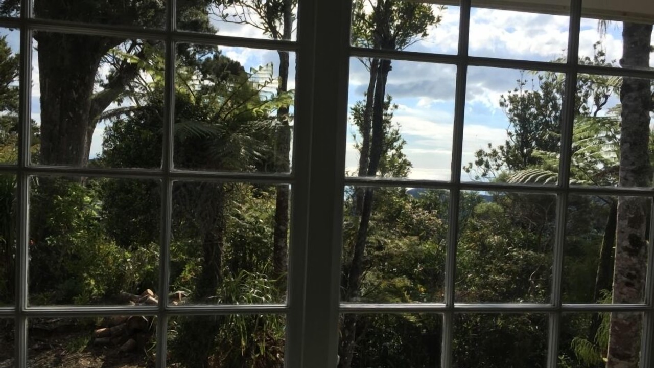 Photo of Others in Piha