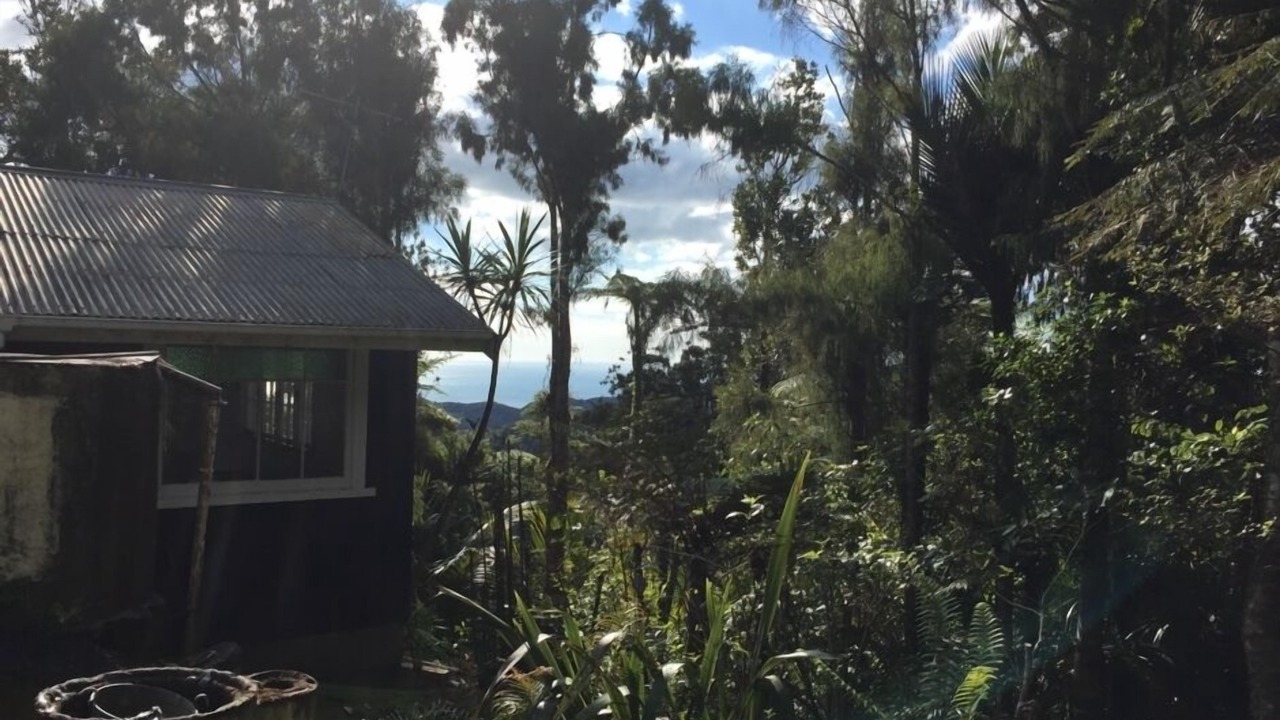 Photo of Others in Piha