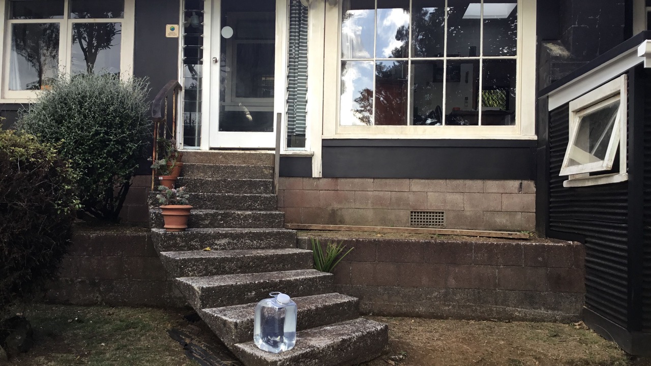 Photo of Outdoor in Piha