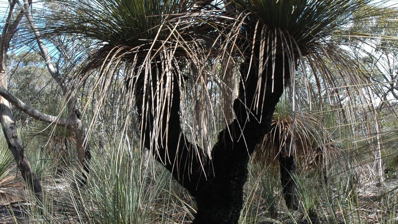 Photo of Others in Duncan