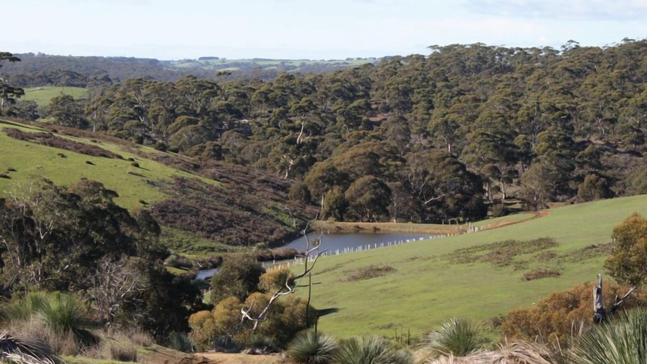 Photo of Others in Duncan