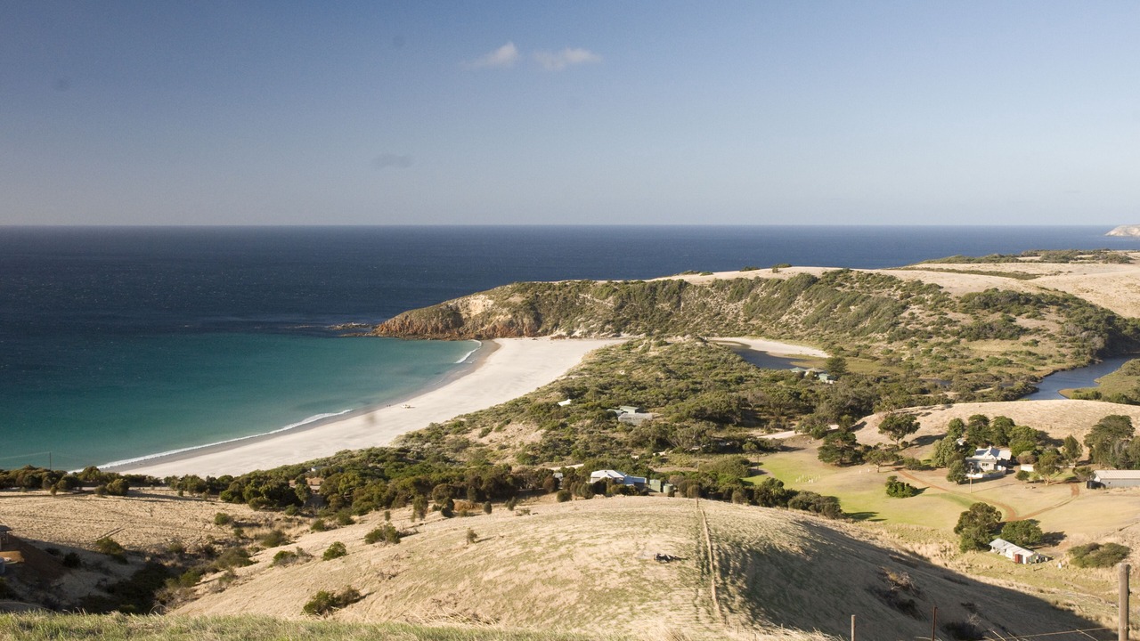 Photo of Others in Duncan