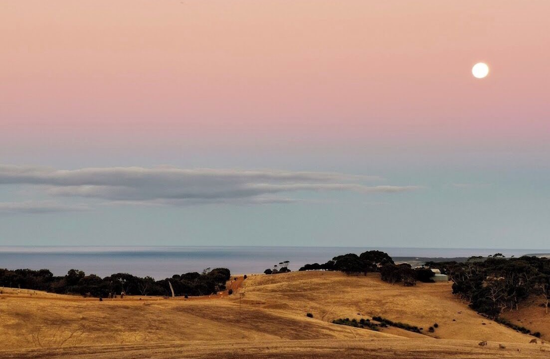 Photo of Others in Duncan