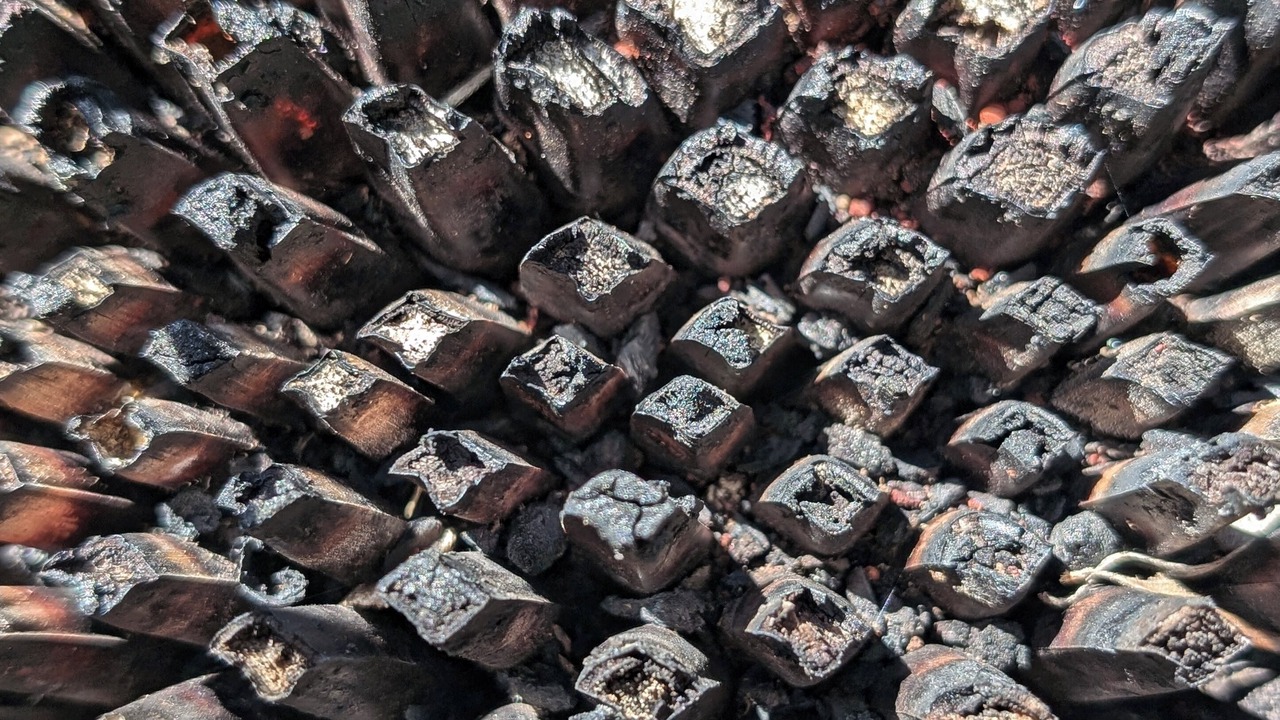 Photo of Others in Duncan