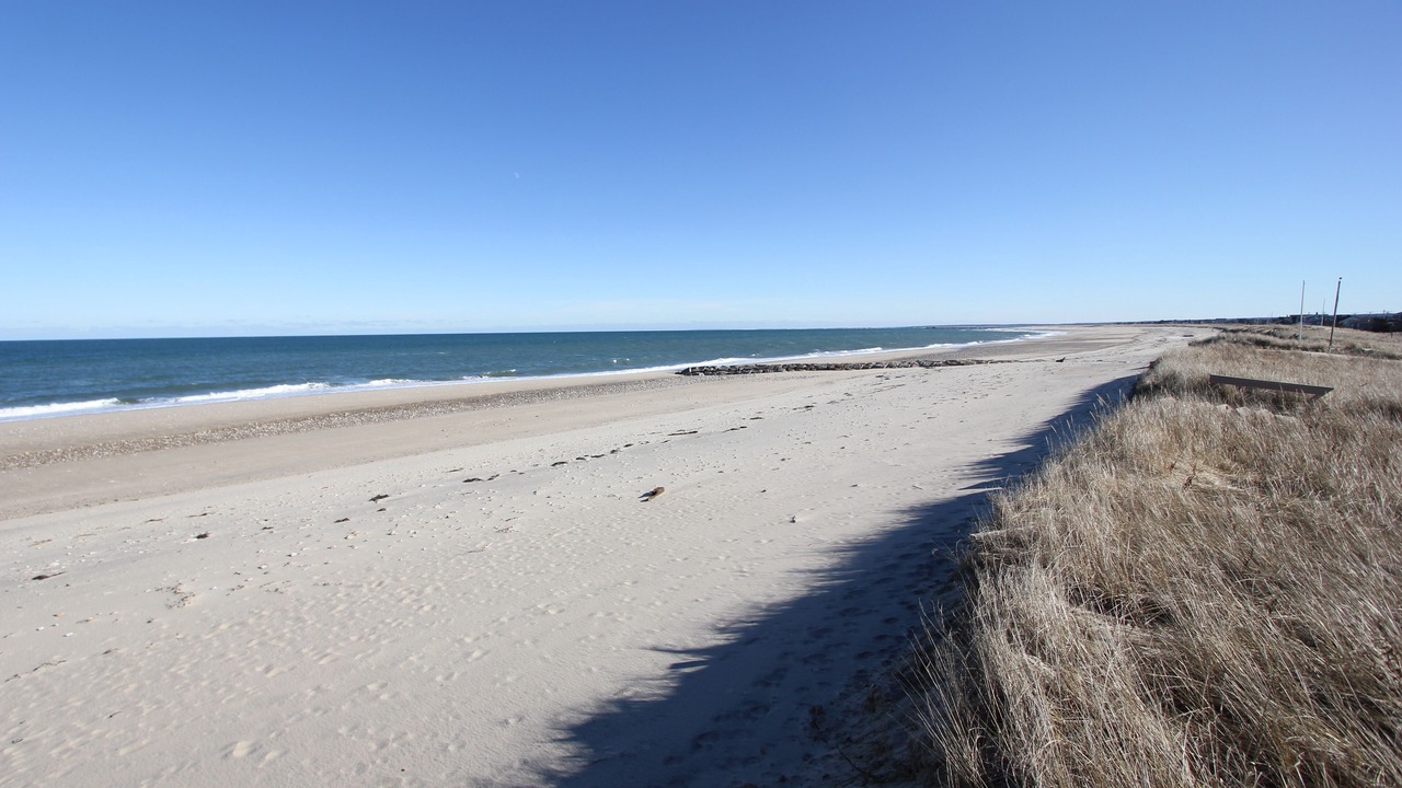 Photo of Others in Sagamore Beach