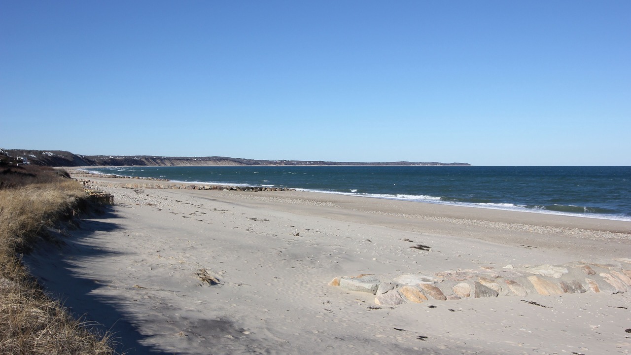 Photo of Others in Sagamore Beach