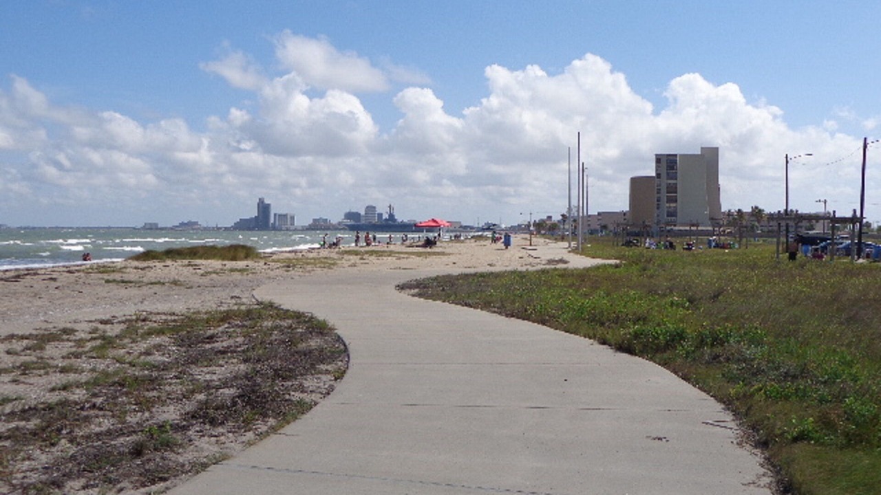 Photo of Others in North Beach