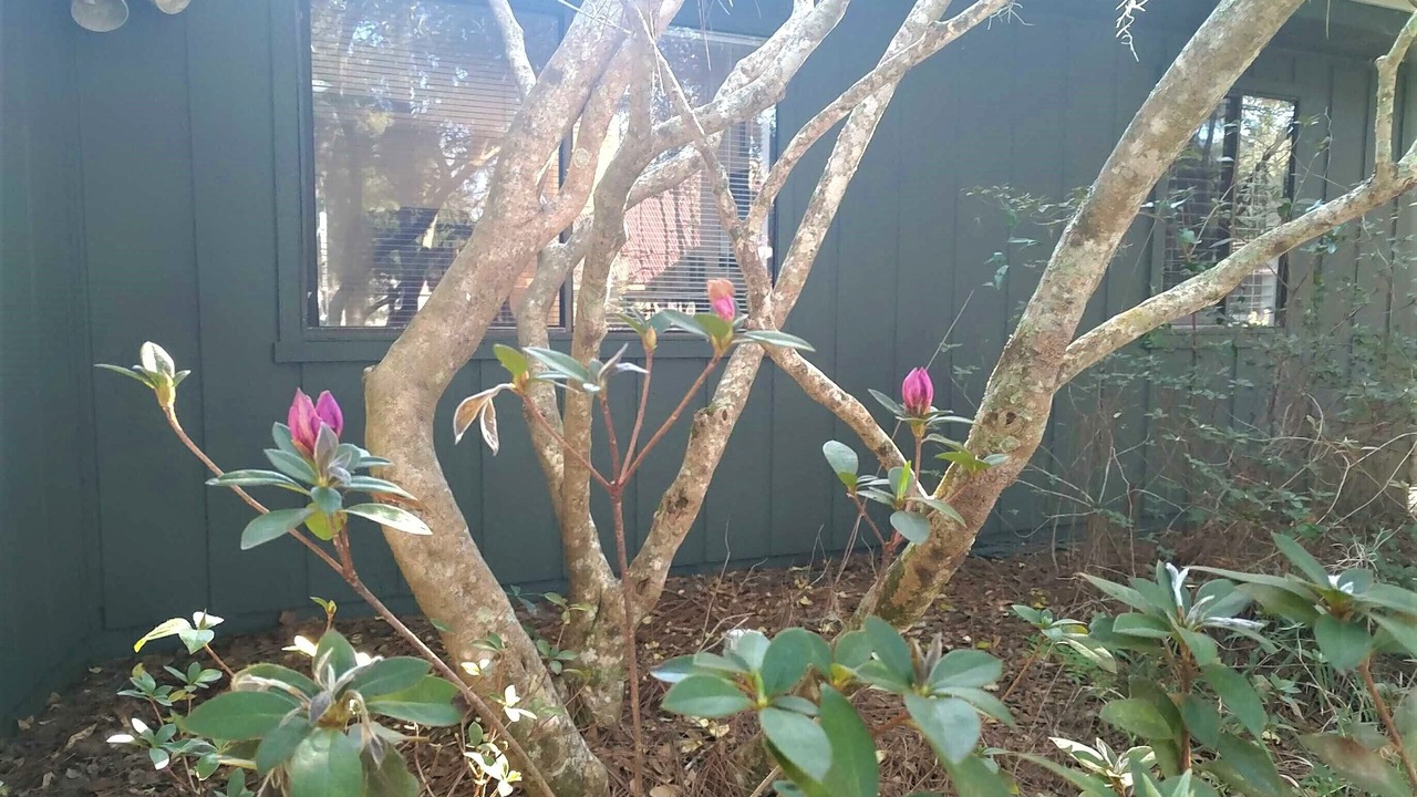 Photo of Outdoor in Astor