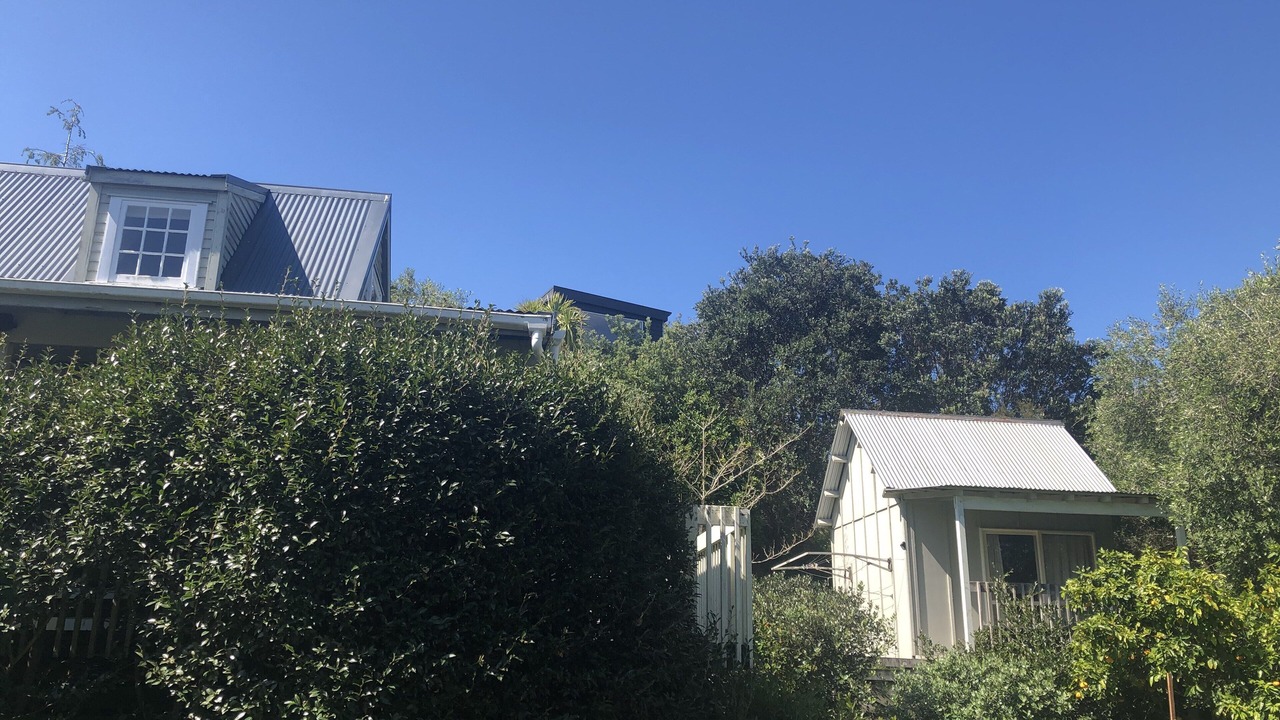 Photo of Outdoor in Whangapoua