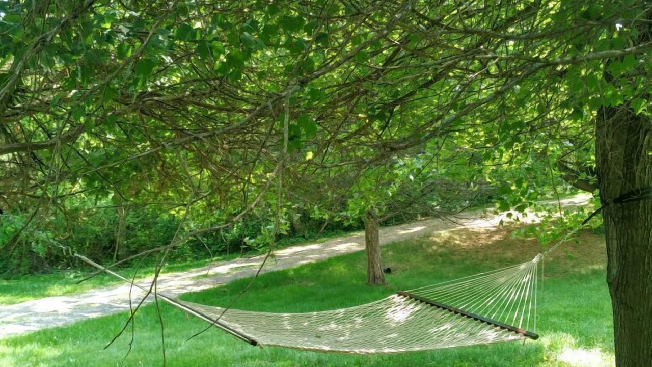 Photo of Others in Taghkanic