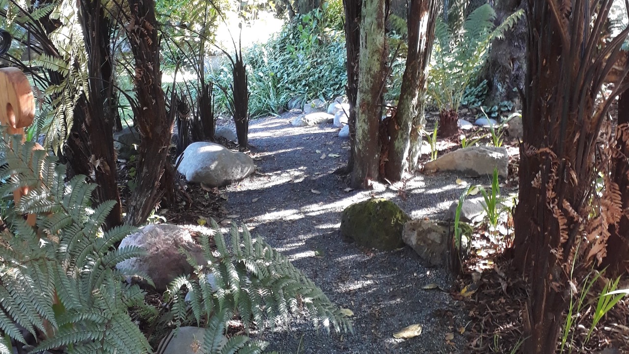 Photo of Outdoor in Hamurana