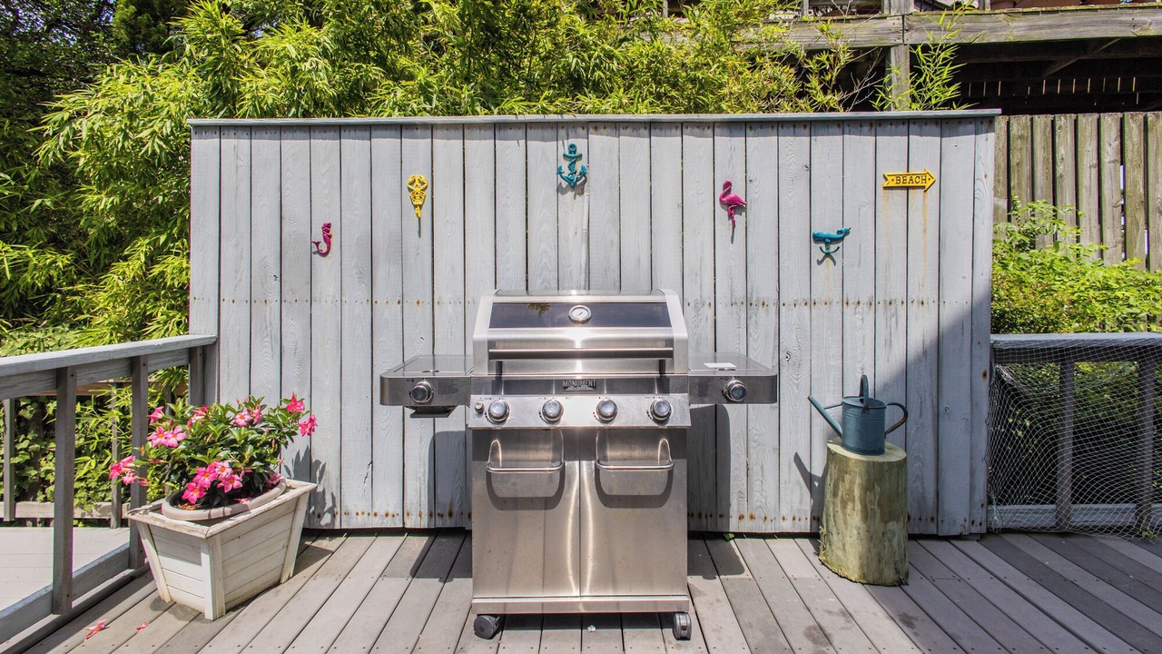 Photo of Outdoor in Willoughby Spit