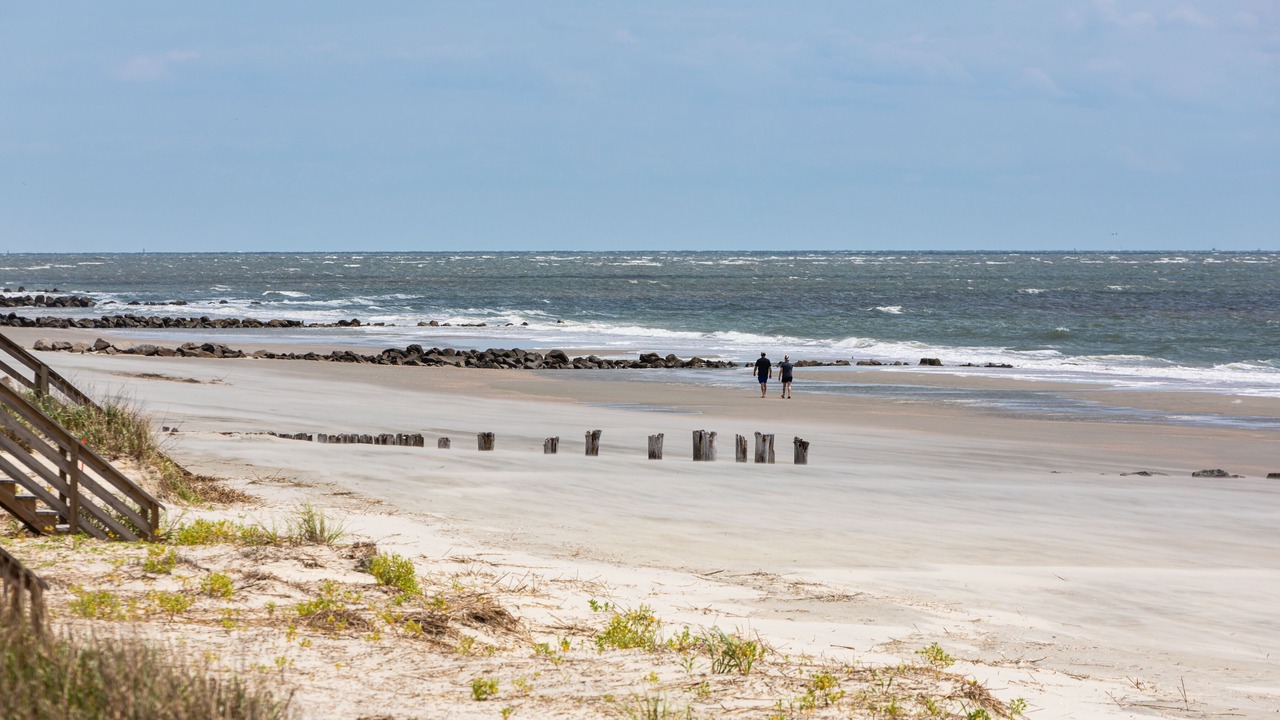 Photo of Others in Folly Beach