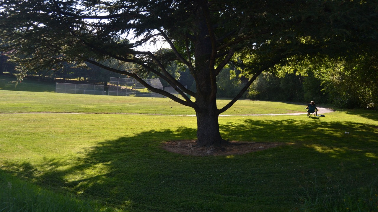 Photo of Others in Multnomah Village