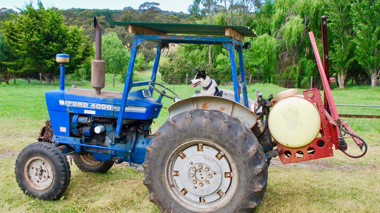 Photo of Others in Back Valley
