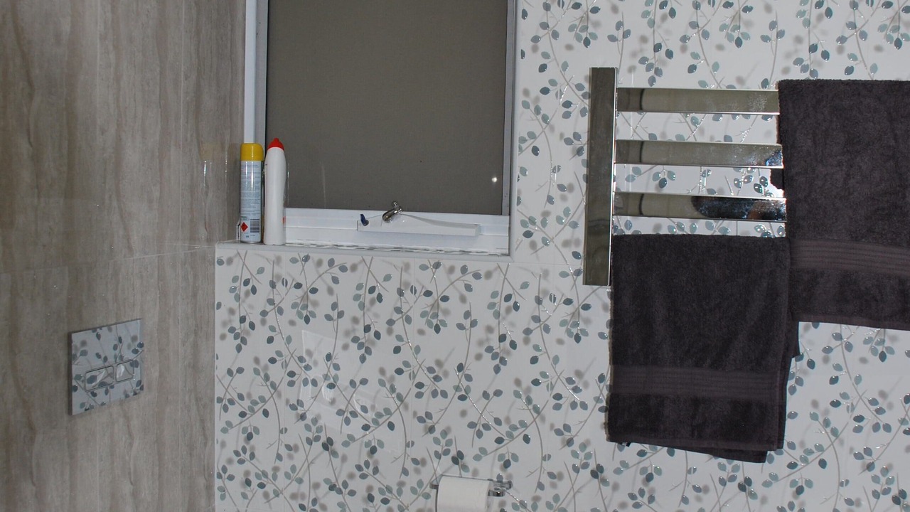 Photo of Bathroom in Back Valley