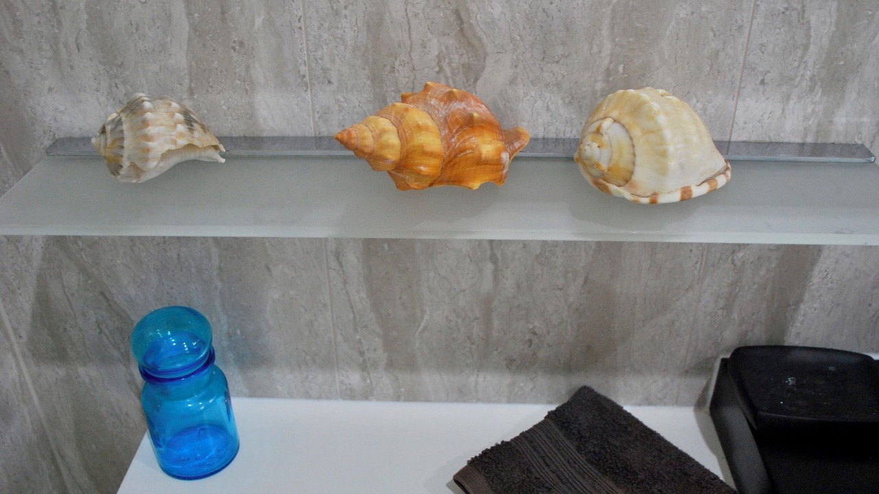 Photo of Others in Back Valley