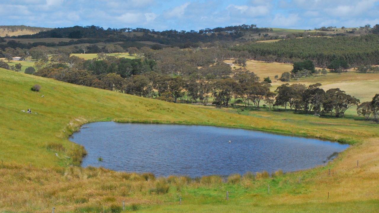 Photo of Outdoor in Back Valley