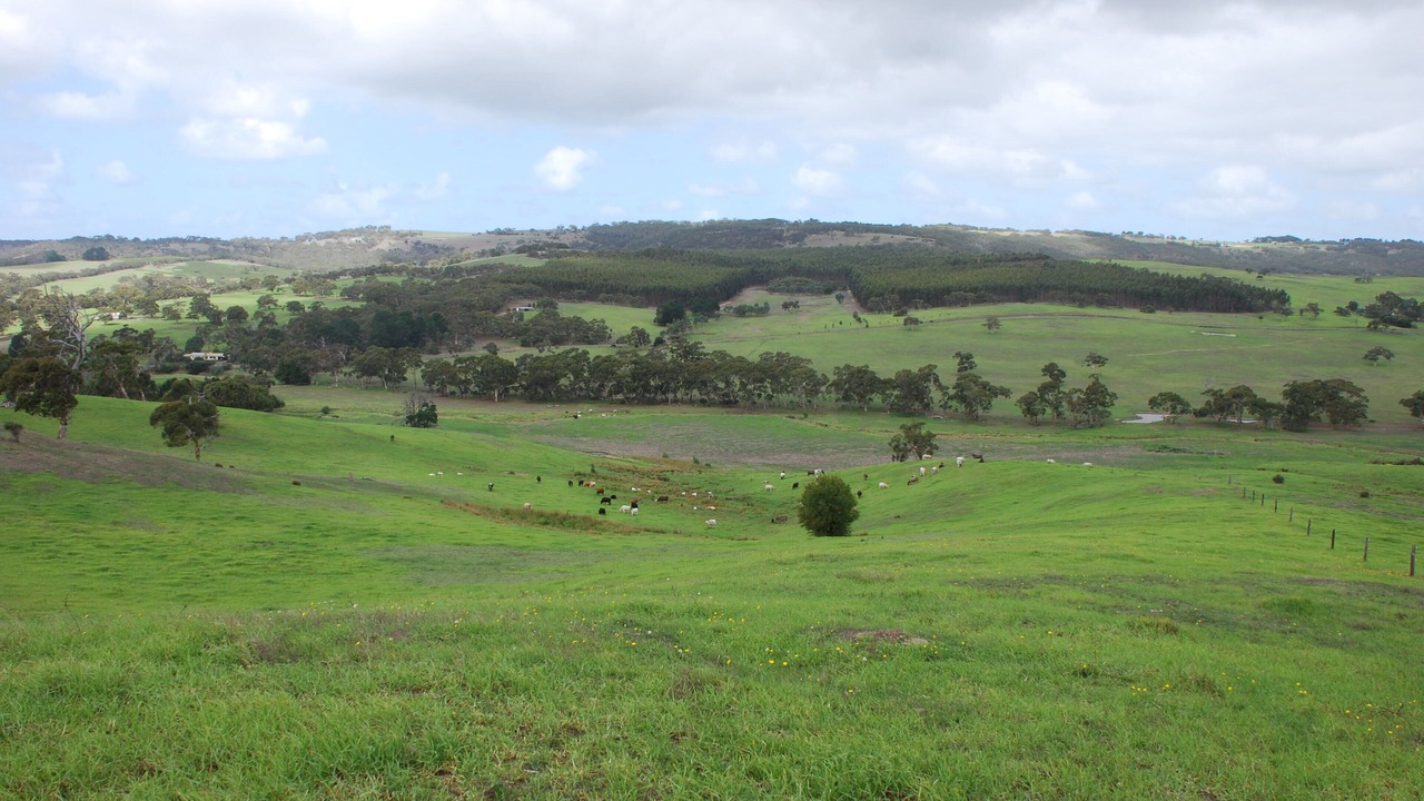 Photo of Others in Back Valley